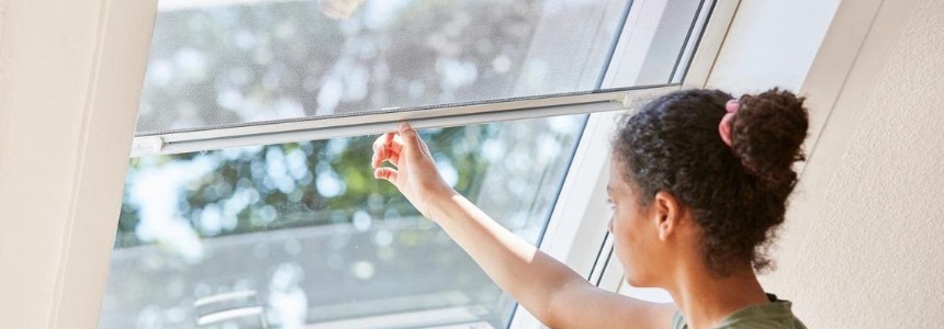 Insektenschutz Insektenschutz