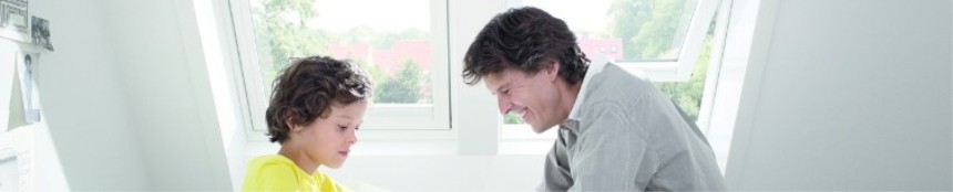 Velux Schwingfenster