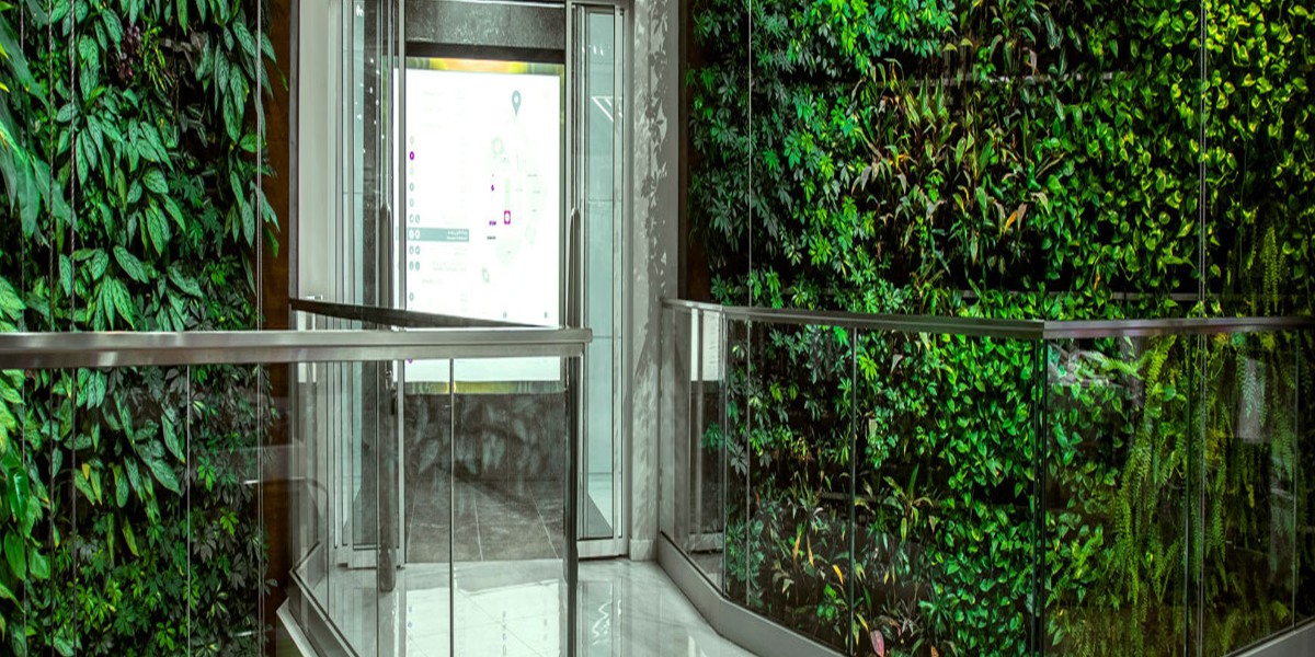 Wandbegrünung Wandbegrünung