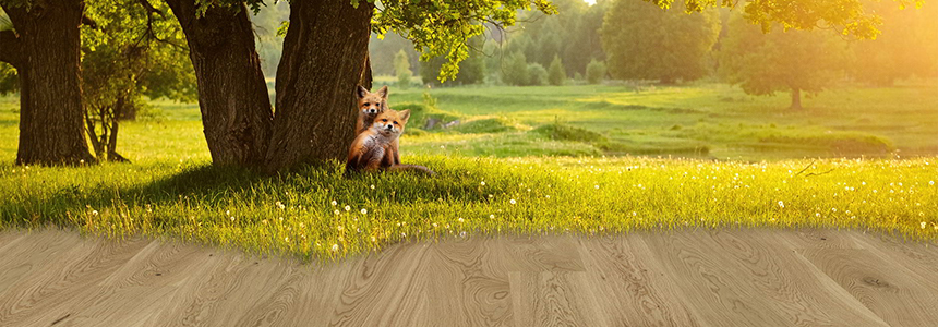 ter Hürne Naturholz Parkett ter Hürne Naturholz Parkett