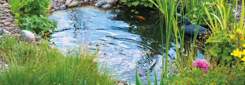 OASE Teichschalen OASE Teichschalen