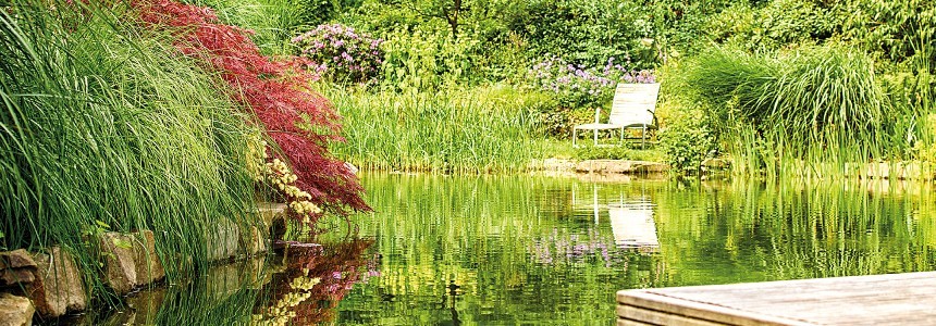 Oase (Teichbau) Oase (Teichbau)