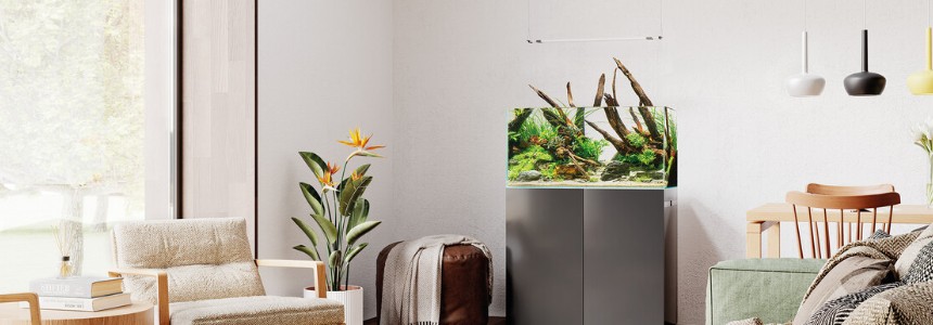 OASE Inside OASE Inside