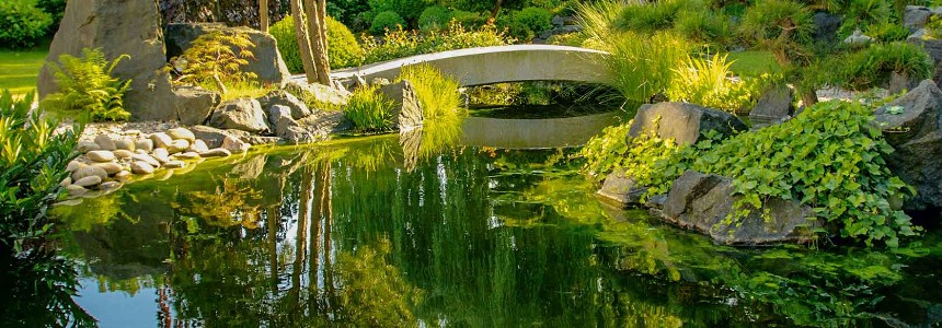 Söll Teichpflege Söll Teichpflege