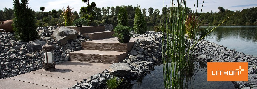 Lithonplus Lithonplus