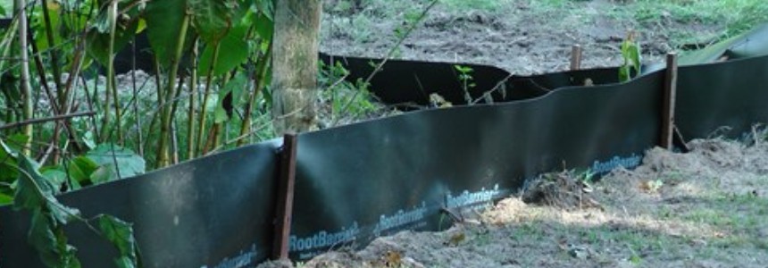 Rootbarrier Amphibienschutz Rootbarrier Amphibienschutz