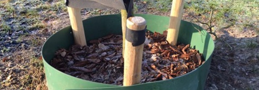 Rootbarrier Bewässerung Rootbarrier Bewässerung