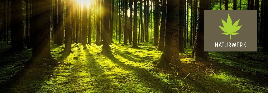 Naturwerk-Borken Naturwerk-Borken