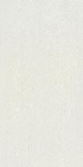 RAK Ceramics Feinsteinzeug 30 x 60 cm GEMS cold lightgrey matt 