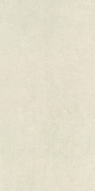 RAK Ceramics Feinsteinzeug 30 x 60 cm GEMS lightgrey matt 