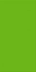 Agrob Buchtal Wandfliese 50x100x0,8cm Chroma grün aktiv 552013-352050HK