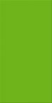 Agrob Buchtal Wandfliese 25x50x0,8cm Chroma grün aktiv 552013-342550HK