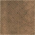 Bärwolf Wandfliese 18,5 x 18,5 cm Corten Akzent KE-19032