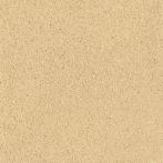 Claytec CLAYFIX Lehmanstrich BRGE 4.2 - gold-ocker