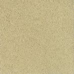 Claytec CLAYFIX Lehmanstrich GRGE 1.1 - schilf-gelb