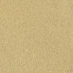 Claytec CLAYFIX Lehmanstrich GRGE 2.1 - schilf-gelb