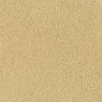 Claytec CLAYFIX Lehmanstrich GRGE 3.1 - schilf-gelb