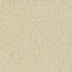 Claytec CLAYFIX Lehmanstrich SCGE 2.3 - sahara-beige