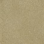 Claytec CLAYFIX Lehmanstrich SCGE 3.0 - sahara-beige