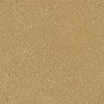 Claytec CLAYFIX Lehmanstrich SCGE 4.0 - sahara-beige