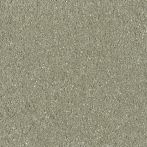 Claytec CLAYFIX Lehmanstrich SCGR 2.0 - jade-grün