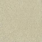 Claytec CLAYFIX Lehmanstrich SCGR 2.2 - jade-grün