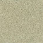 Claytec CLAYFIX Lehmanstrich SCGR 3.1 - jade-grün