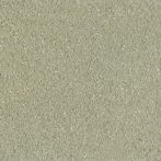 Claytec CLAYFIX Lehmanstrich SCGR 4.0 - jade-grün