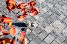 Diephaus Pflasterstein Lumo Weiß-Schwarz PE2