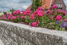 Diephaus Mauerstein Siola-Kombi Granit