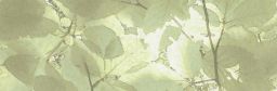 Engers Dekorfliese 33x100 cm TIME OUT naturgrün matt I rektifiziert I 1TIM2471
