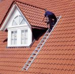 Euroline Alu-Dachauflegeleiter Nr. 321 Natur