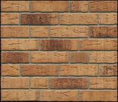 Feldhaus Klinkerriemchen sintra R665NF14 240x71x14 mm sabiosa binaro | Farbe: gelb braun bunt