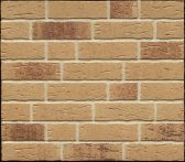 Feldhaus Klinkerriemchen sintra R688NF14 240x71x14 mm sabioso | Farbe: beige braun bunt