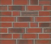 Feldhaus Klinkerriemchen planto R788NF14 240x71x14 mm ardor venito | Farbe: rot braun bunt