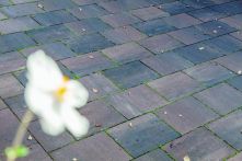 Gerwing OM (Oldenburger Münsterland) Gestaltungspflaster (tiefenimprägniert) muschelkalk (meliert)