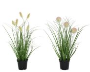 Kaemingk Gras im Topf pvc 2ass Grün M/Andere Farbe(N) - L: 15 cm x B: 15 cm x H: 30 cm
