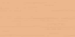 Lasselsberger Wandfliese 20x40 cm EASY WATMB065 orange matt