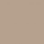 Lasselsberger Bodenfliese 20x20 cm COLOR TWO GAA1K311 RAL 0607020 matt