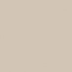 Lasselsberger Bodenfliese 20x20 cm COLOR TWO GAA1K108 RAL 0508010 matt