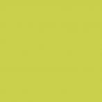 Lasselsberger Bodenfliese 20x20 cm COLOR TWO GAA1K464 RAL 0958070 matt