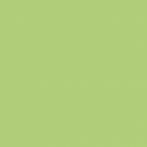 Lasselsberger Bodenfliese 20x20 cm COLOR TWO GAA1K465 RAL 1208050 matt