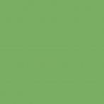 Lasselsberger Bodenfliese 20x20 cm COLOR TWO GAA1K466 RAL 1306050 matt