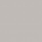 Lasselsberger Bodenfliese 20x20 cm COLOR TWO GAA1K110 RAL 0607005 matt