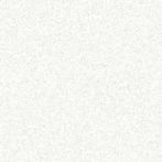 Lasselsberger Bodenfliese Linka 60x60cm weiß matt I DAK63820