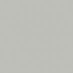 Lasselsberger Bodenfliese Taurus Color 20x20cm hellgrau matt I TAA25003