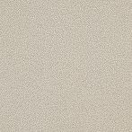 Lasselsberger Bodenfliese Taurus Granit 20x20cm dunkelbeige matt I TRM25061