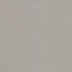 Lasselsberger Bodenfliese Taurus Granit 20x20cm grau matt I TRM25076