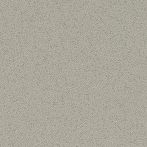 Lasselsberger Bodenfliese Taurus Industrial 20x20cm grau matt I TRM2Z076