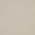 Lasselsberger Bodenfliese Taurus Granit 30x30cm dunkelbeige matt I TRM34061